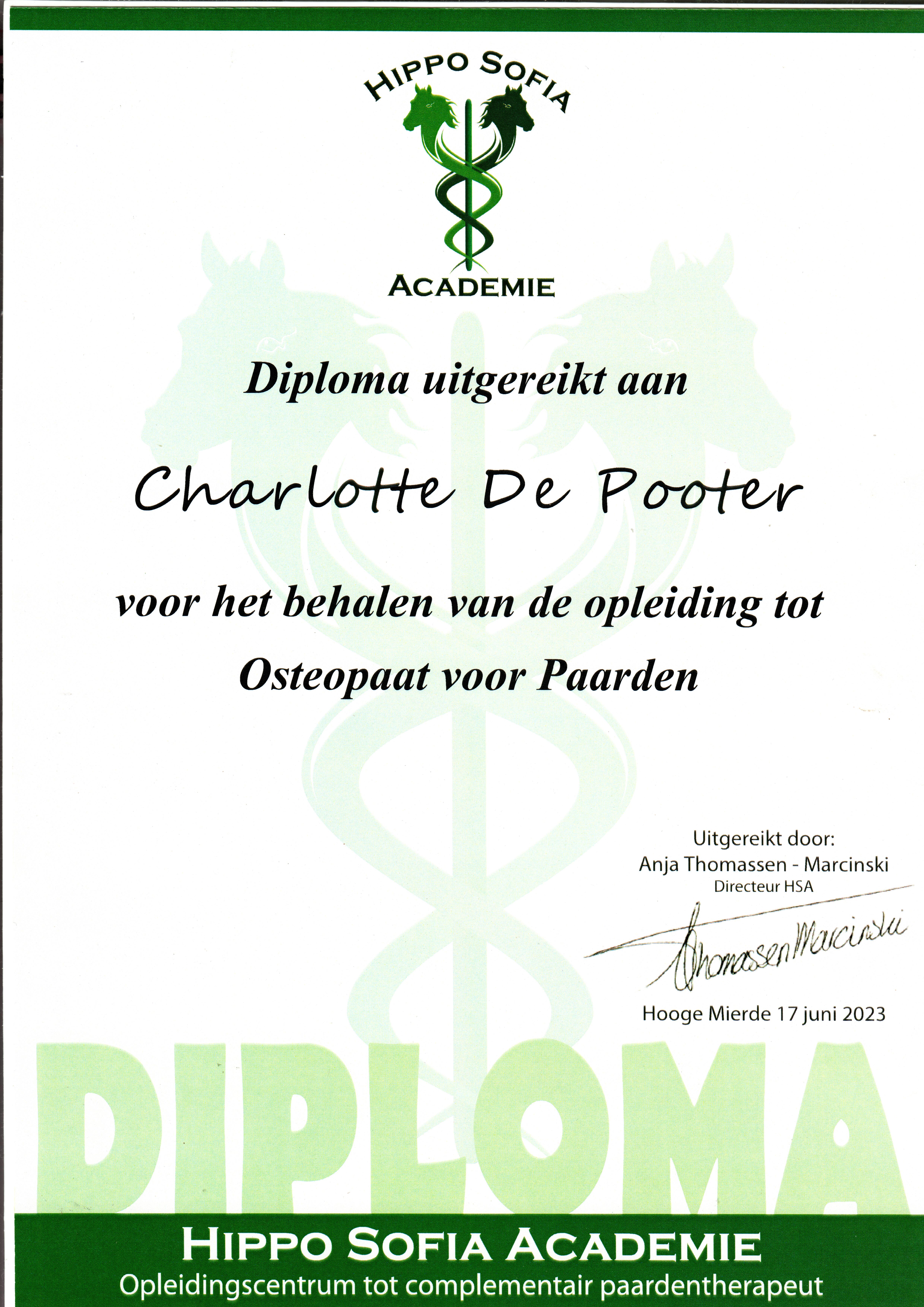 Osteopathie Diploma