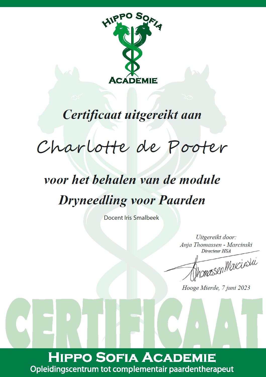 DryNeedling Certificaat